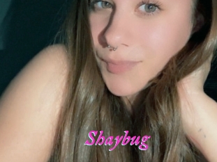 Shaybug
