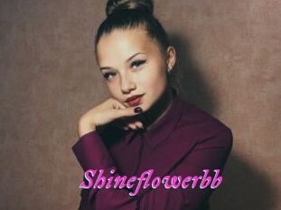 Shineflowerbb