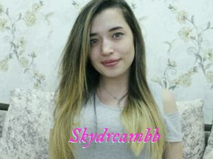 Skydreambb