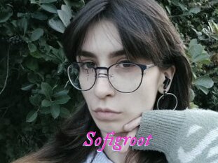 Sofigroot