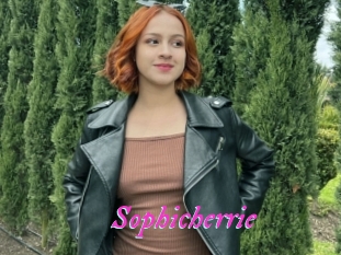 Sophicherrie