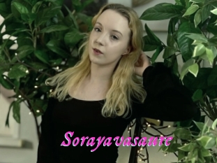 Sorayavasaure