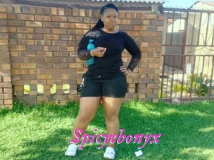 Spicyebonyx