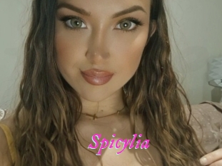 Spicylia