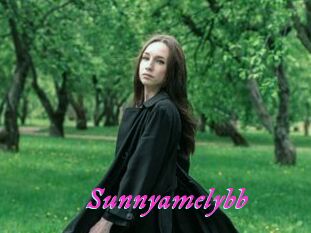 Sunnyamelybb