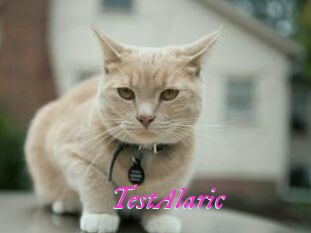 TestAlaric Fille Sensuelle