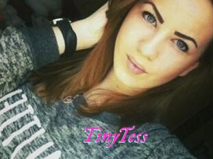 TinyTess