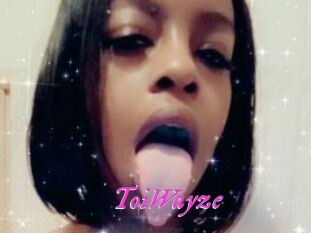 ToiWayze