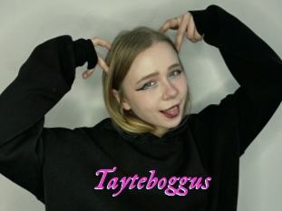 Tayteboggus