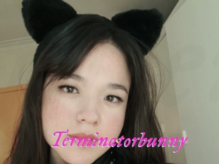 Terminatorbunny