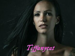 Tiffanycat