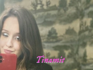 Tinamit