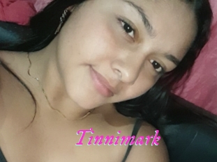 Tinnimark