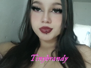 Tinybrandy