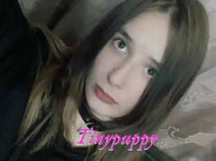 Tinypuppy