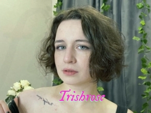 Trishrose