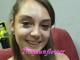 Trixysunflower