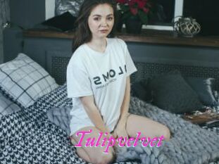 Tulipvelvet