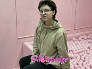 Udelabodge