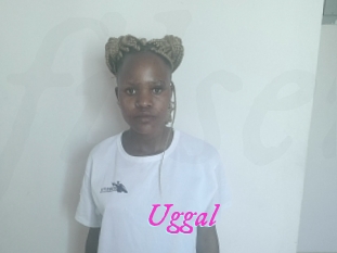 Uggal