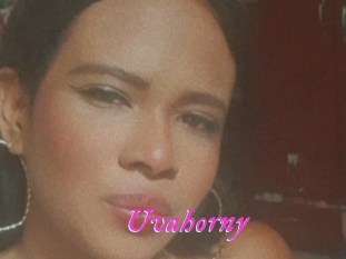 Uvahorny