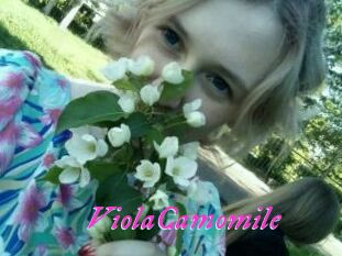 ViolaCamomile
