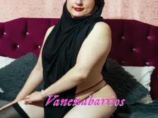 Vanezabarrios