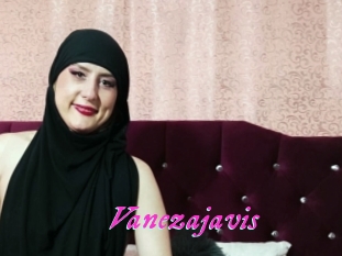 Vanezajavis