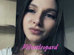 Velvetleopard
