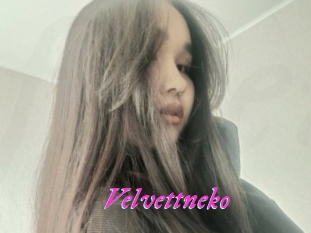 Velvettneko
