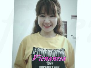 Vienanesa