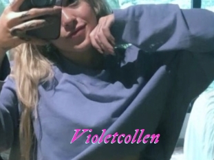 Violetcollen