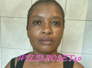 WILD_ROSEY40