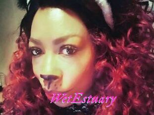 WetEstuary