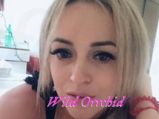 Wild_Orrchid
