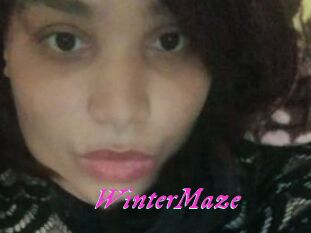 Winter_Maze