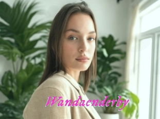 Wandaenderby