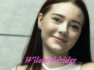 Wilonealdridge