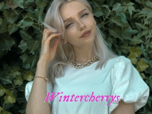 Wintercherrys
