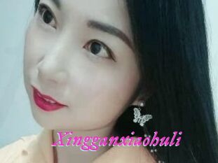 Xingganxiaohuli