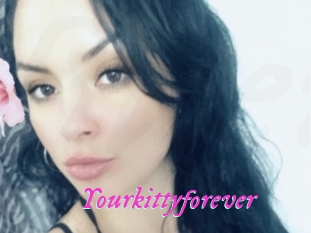 Yourkittyforever