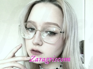 Zaragriscom