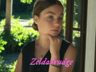 Zeldadrudge