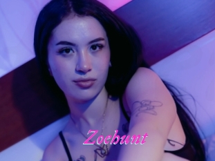 Zoehunt